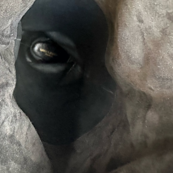 Saint Lauren NEW size 38 over the knee boots - Picture 9 of 16